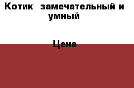 Котик  замечательный и умный › Цена ­ 1 000 - Хабаровский край, Хабаровск г. Животные и растения » Кошки   